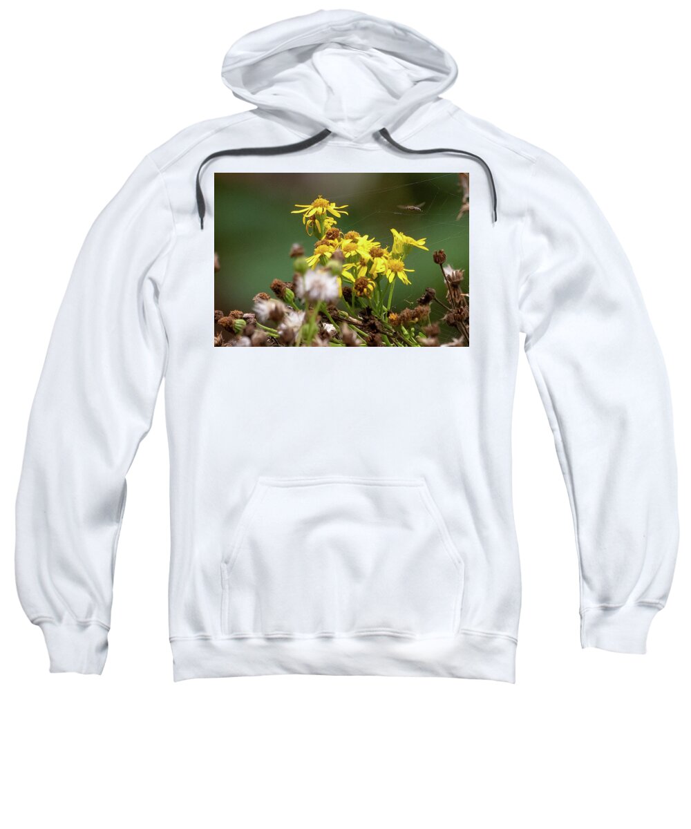 Bee Sweatshirt featuring the photograph Bee Landing #1 by Timothy Anable