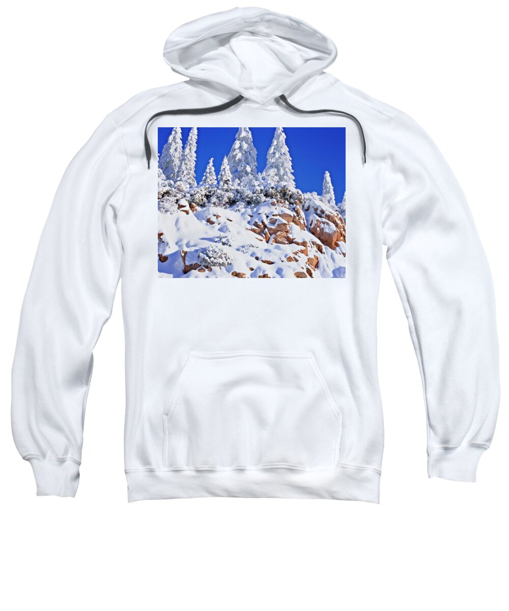 Oregon winter wonderland on the way to Mt Ashland. #1 Adult Pull-Over Hoodie  by Larry Geddis - Pixels