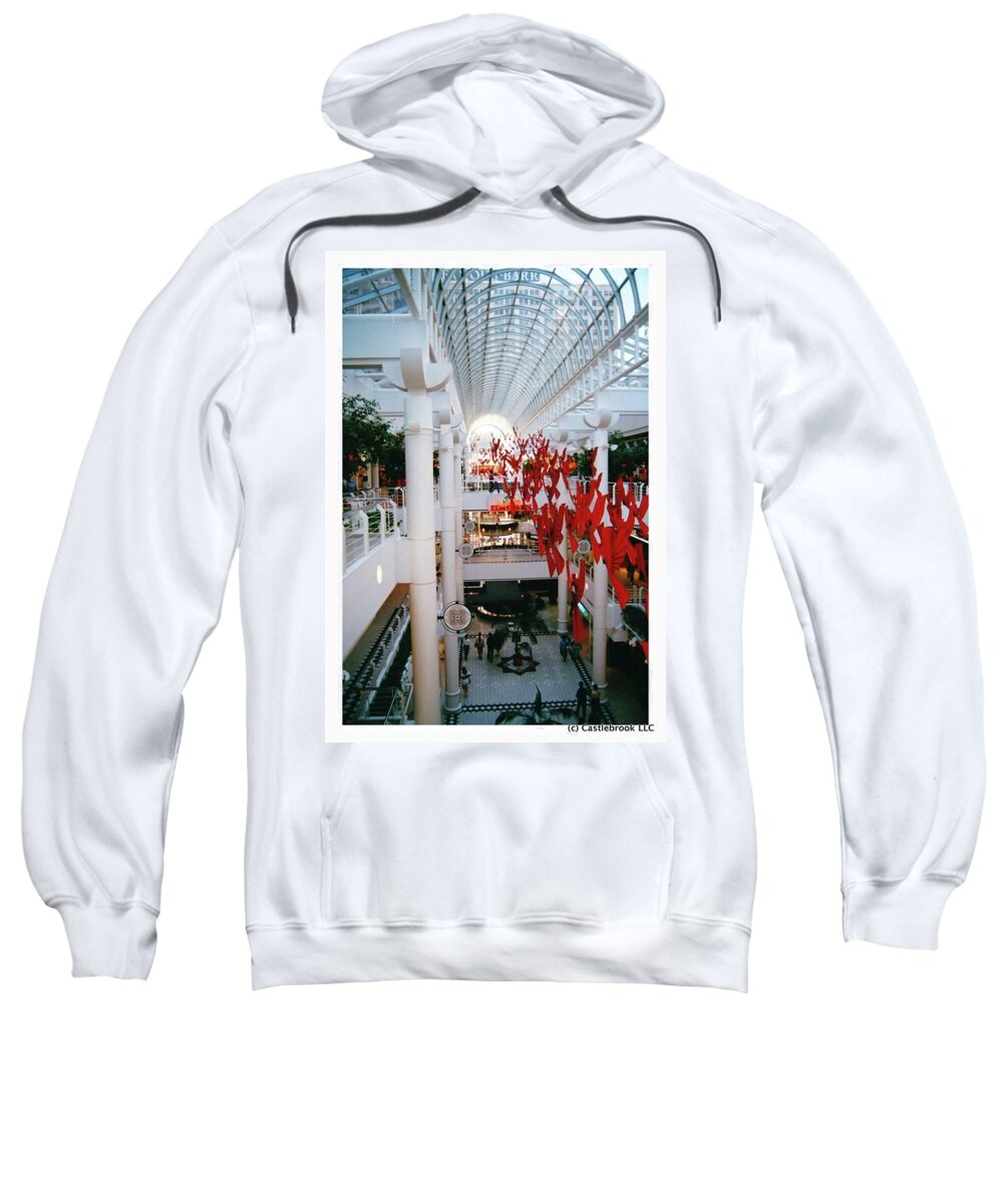 St. Louis Centre, 1987 Adult Pull-Over Hoodie by Dwayne - Pixels