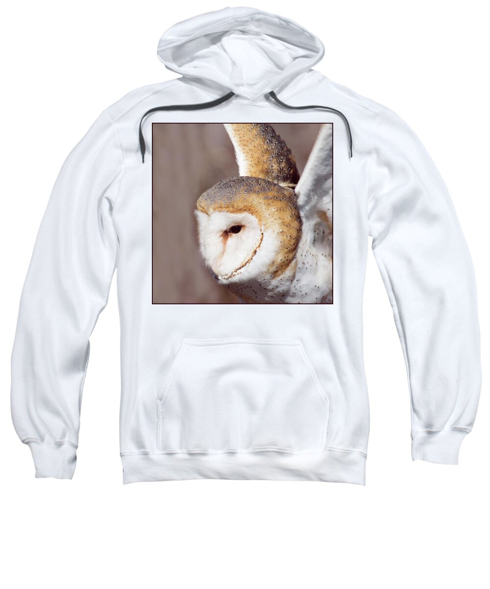 Barn Owl Sweatshirt featuring the photograph Barn Owl by Minnie Gallman