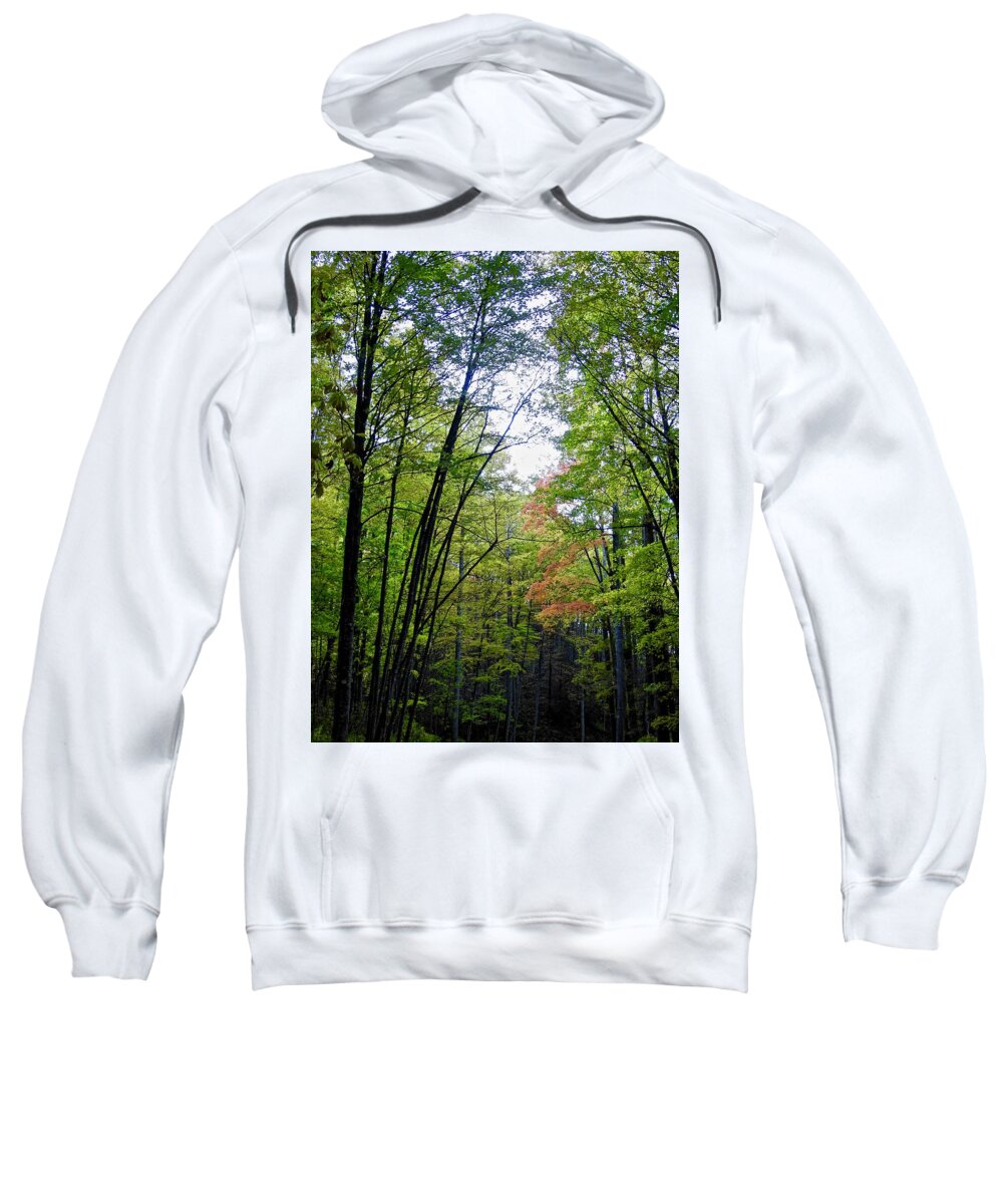 Trees Sweatshirt featuring the photograph Beginning of Autumn by Kathy Chism