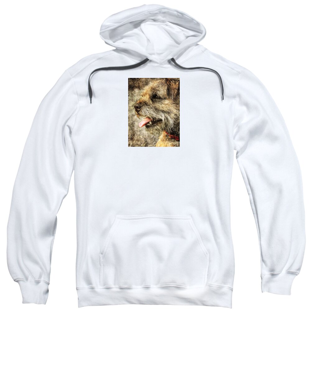 Border Terrier Sweatshirt featuring the digital art Border Terrier by Diane Chandler