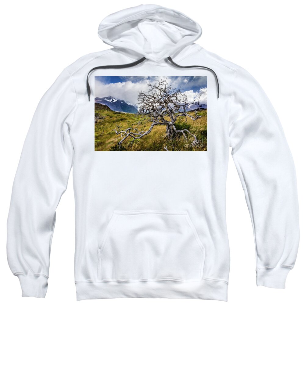 Tree Sweatshirt featuring the photograph Burnt tree, Torres del Paine, Chile by Lyl Dil Creations