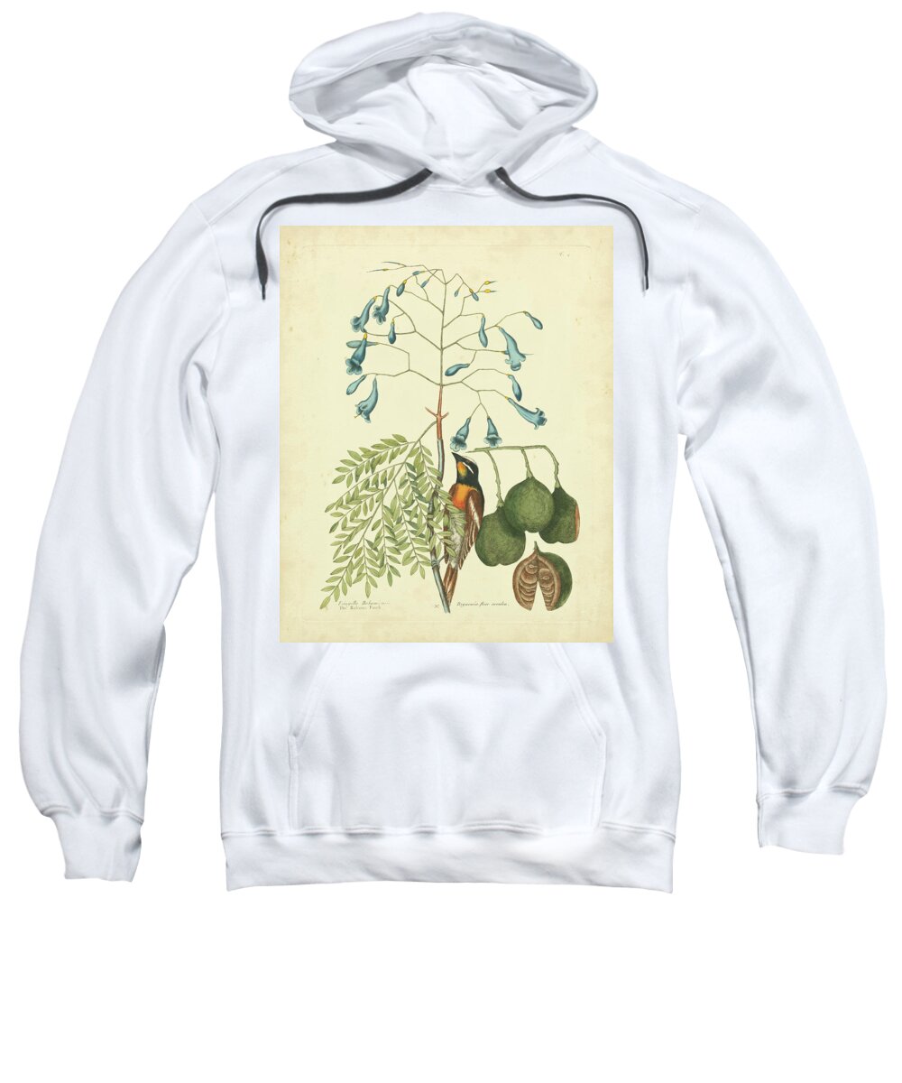 Animals Sweatshirt featuring the painting Catesby Bird & Botanical II by Mark Catesby