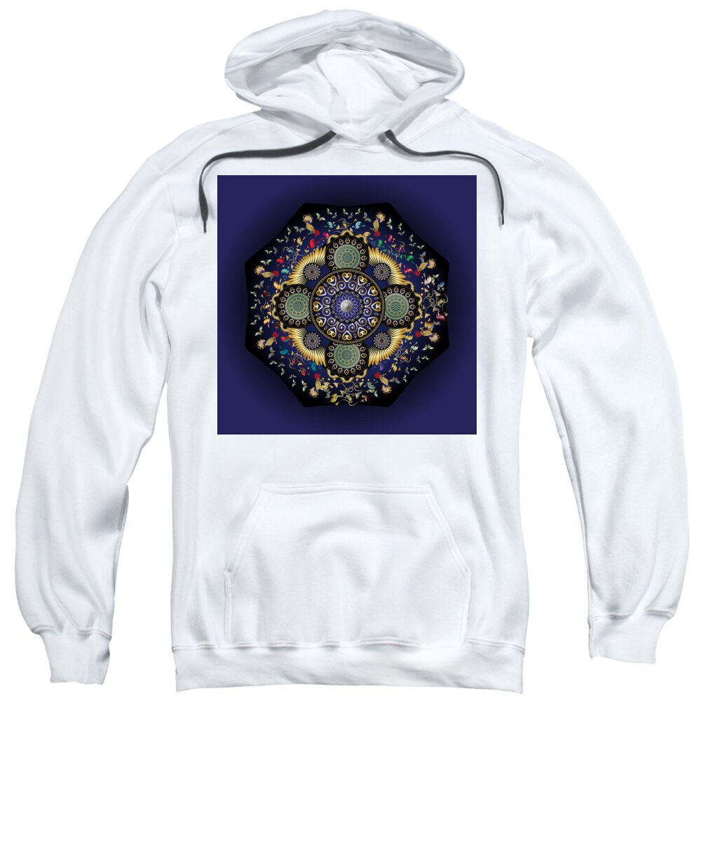 Mandala Sweatshirt featuring the digital art Circumplexical No 3798 by Alan Bennington