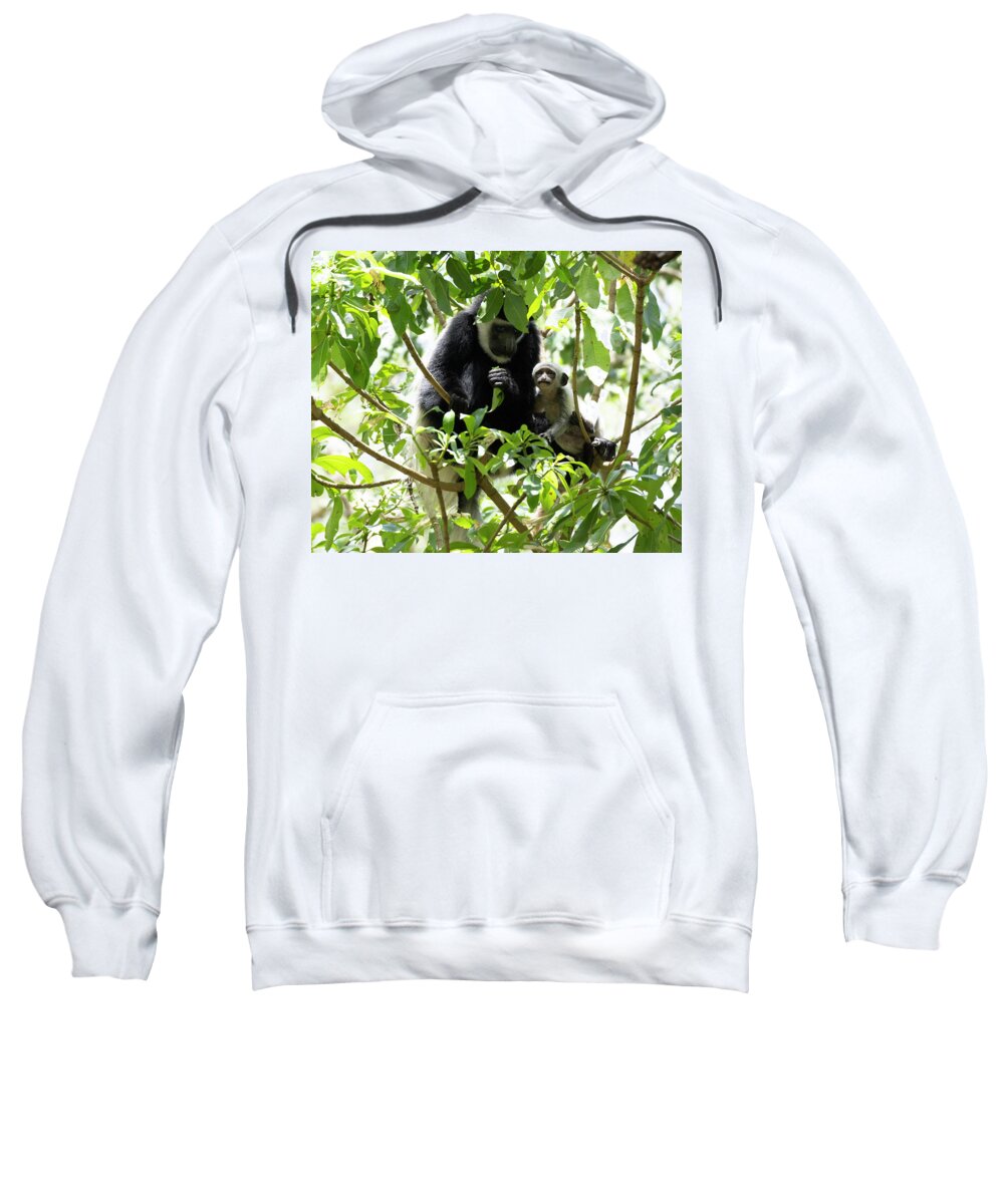 Colobus Sweatshirt featuring the photograph Colobus Monkey with baby by Patrick Nowotny