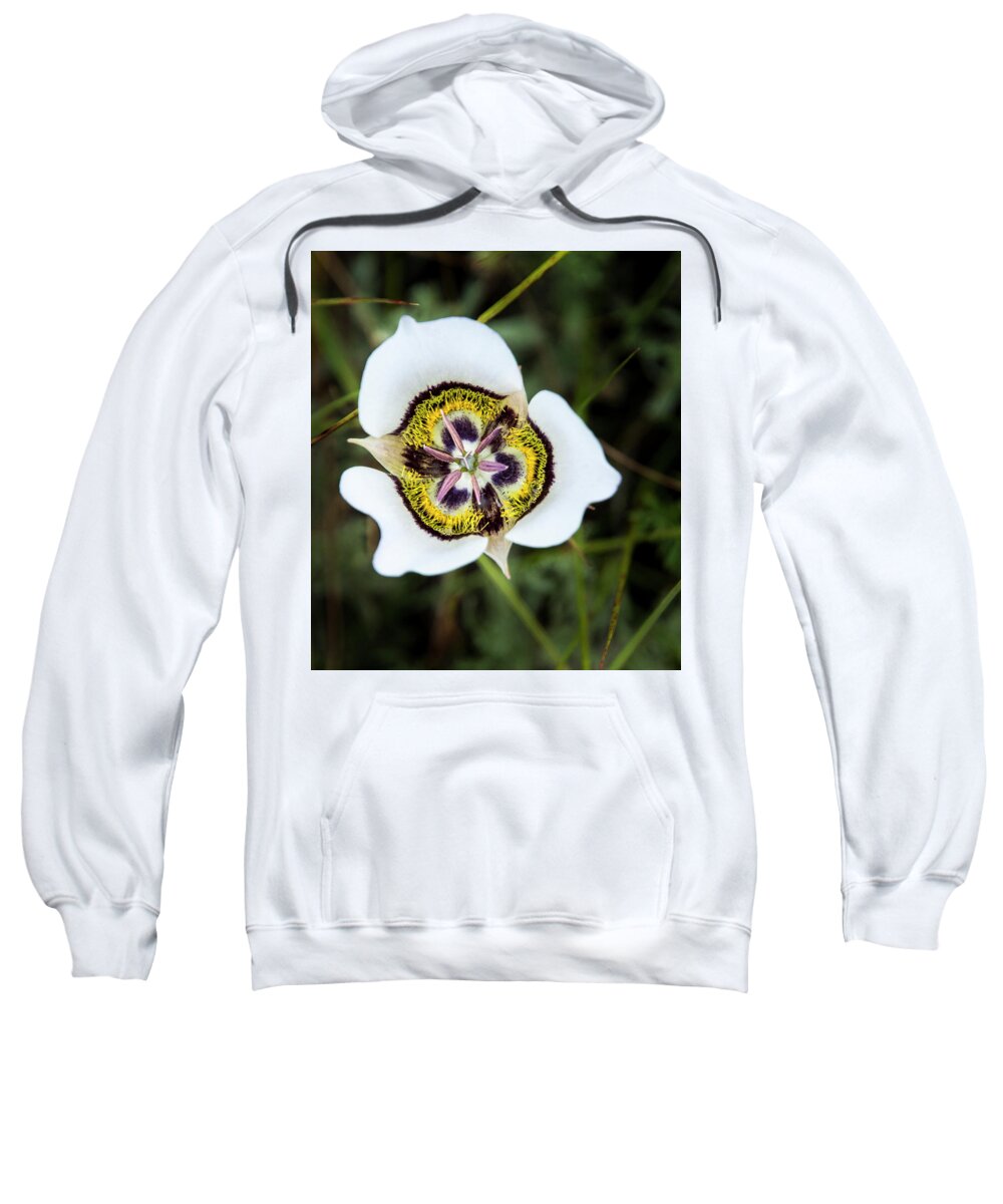 Macro Sweatshirt featuring the photograph Colorado Mariposa Lily by Ginger Stein