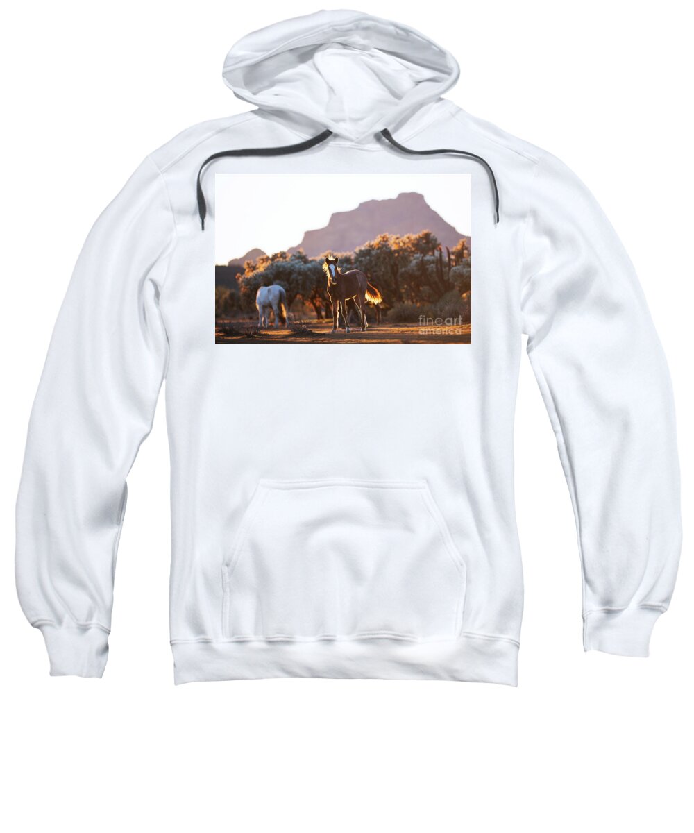 Yearling Sweatshirt featuring the photograph Desert View by Shannon Hastings