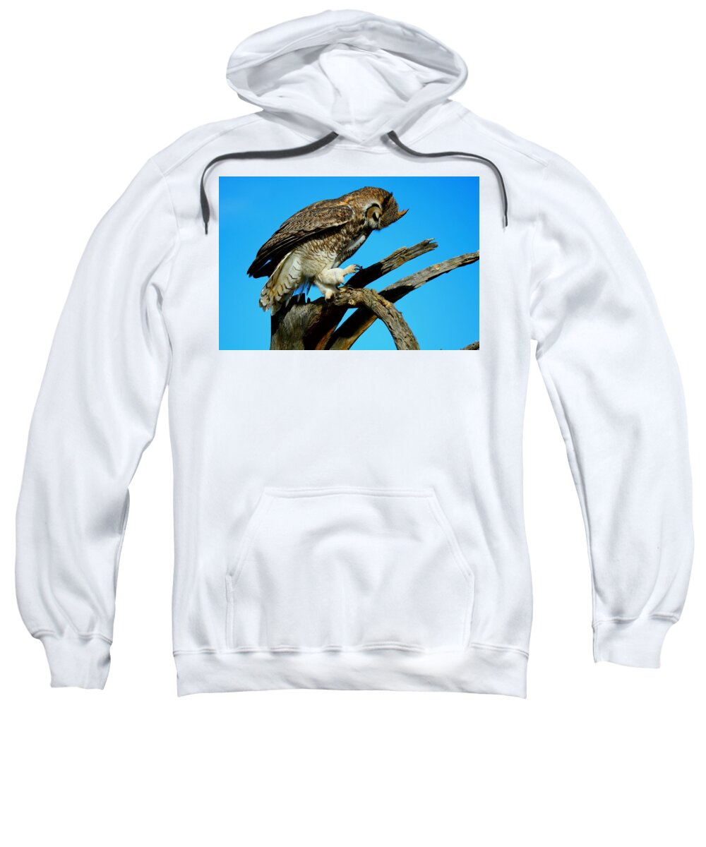 Grey Sweatshirt featuring the photograph Grey horn owl looking at his claw by LaDonna McCray