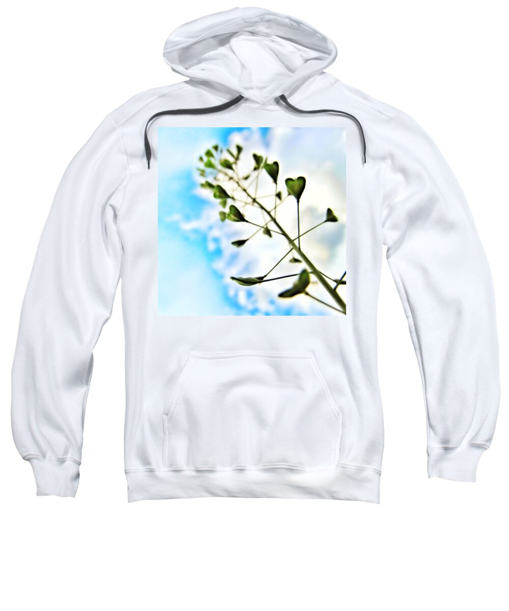Love Sweatshirt featuring the photograph Growing Love by Marianna Mills