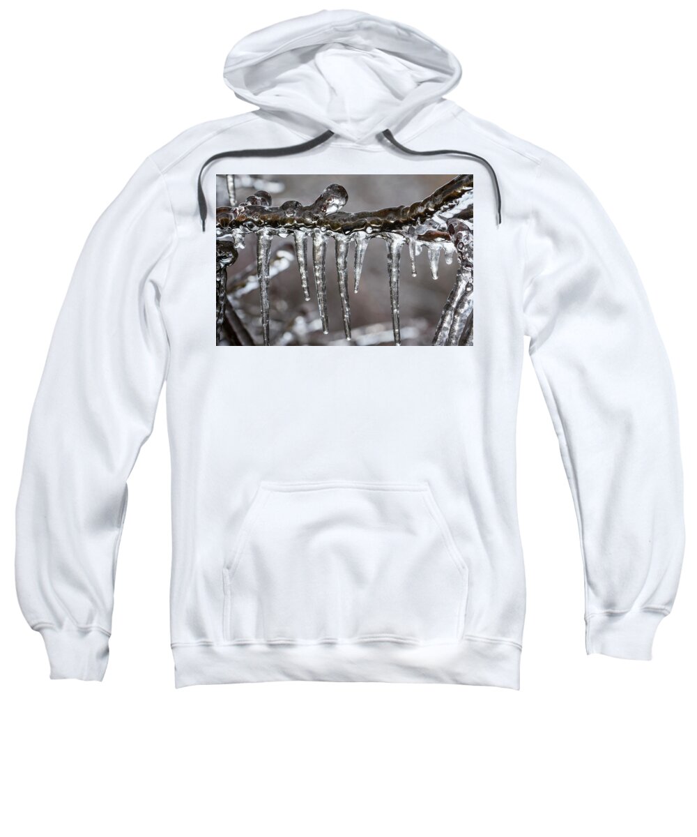 Branches Sweatshirt featuring the photograph Ice9 by Robert Potts