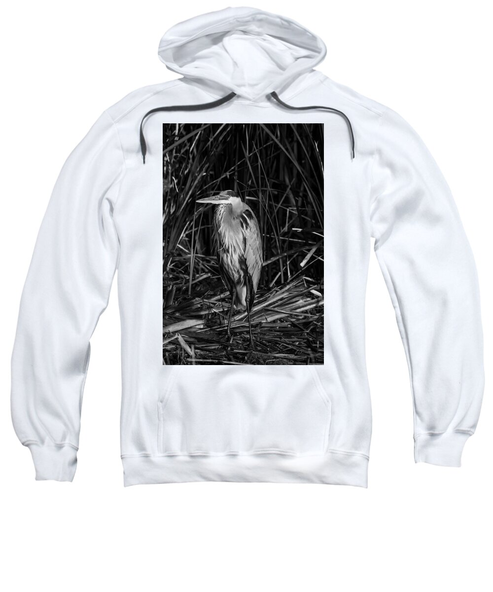 Birds Sweatshirt featuring the photograph In A Daze by Ray Silva