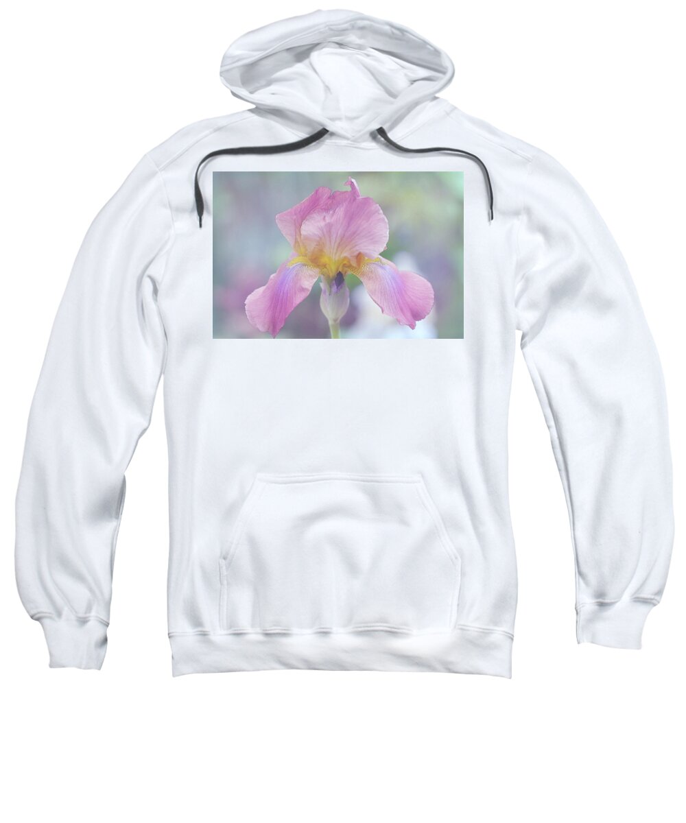 Flowers Sweatshirt featuring the mixed media Iris in Painted Watercolor by Sherry Hallemeier