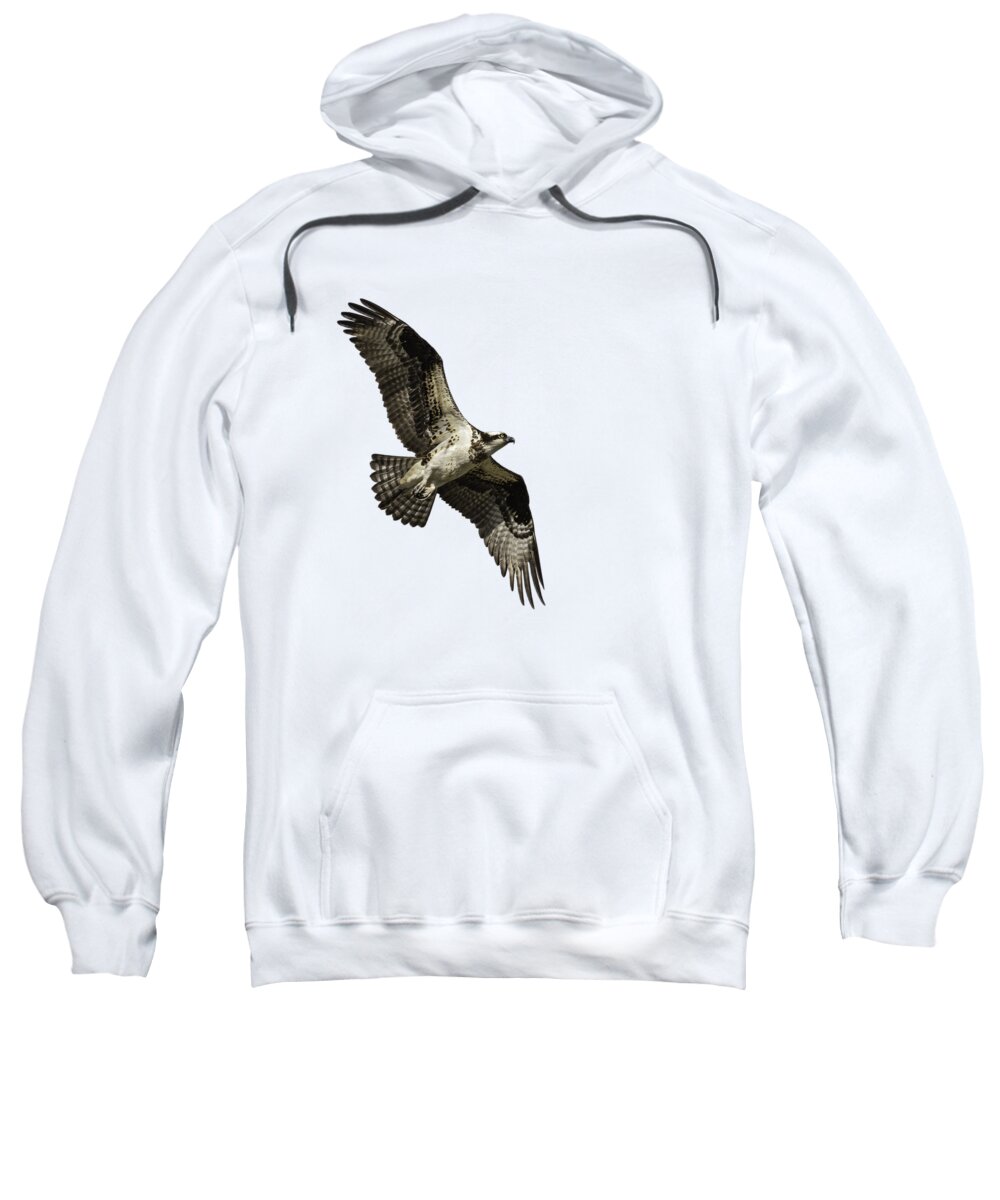 Osprey Sweatshirt featuring the photograph Isolated Osprey 2019-2 by Thomas Young