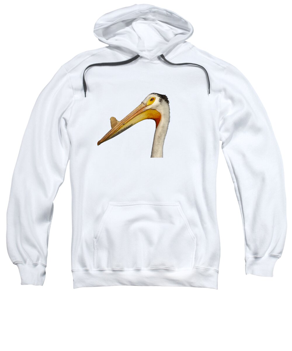 American White Pelican Sweatshirt featuring the photograph Isolated White Pelican 2014-1 by Thomas Young