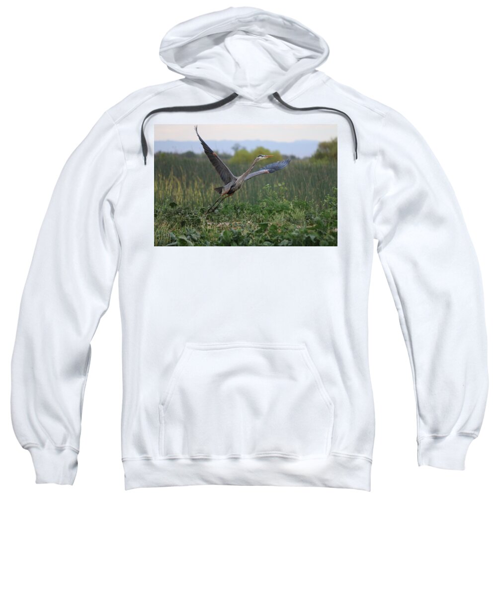 Great Sweatshirt featuring the photograph Lifting Off by Christy Pooschke