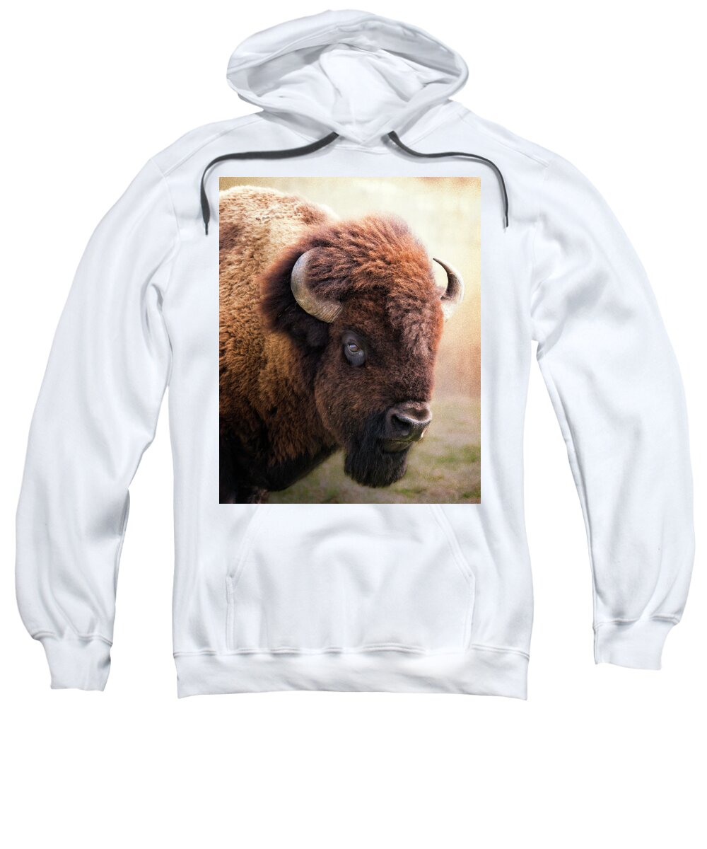 Bison Sweatshirt featuring the photograph Lord of the plains by Ron McGinnis