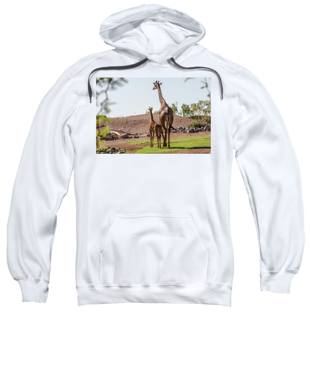 Giraffe Sweatshirt featuring the photograph Motherly love2 by Darrell Foster