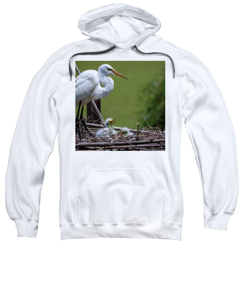 Heron Sweatshirt featuring the photograph Mother's Day by JASawyer Imaging