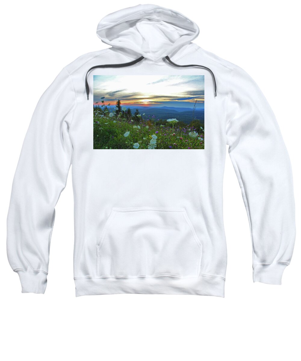 Mountain Wildflowers Sweatshirt featuring the photograph Mountain Wildflowers by Linda Sannuti