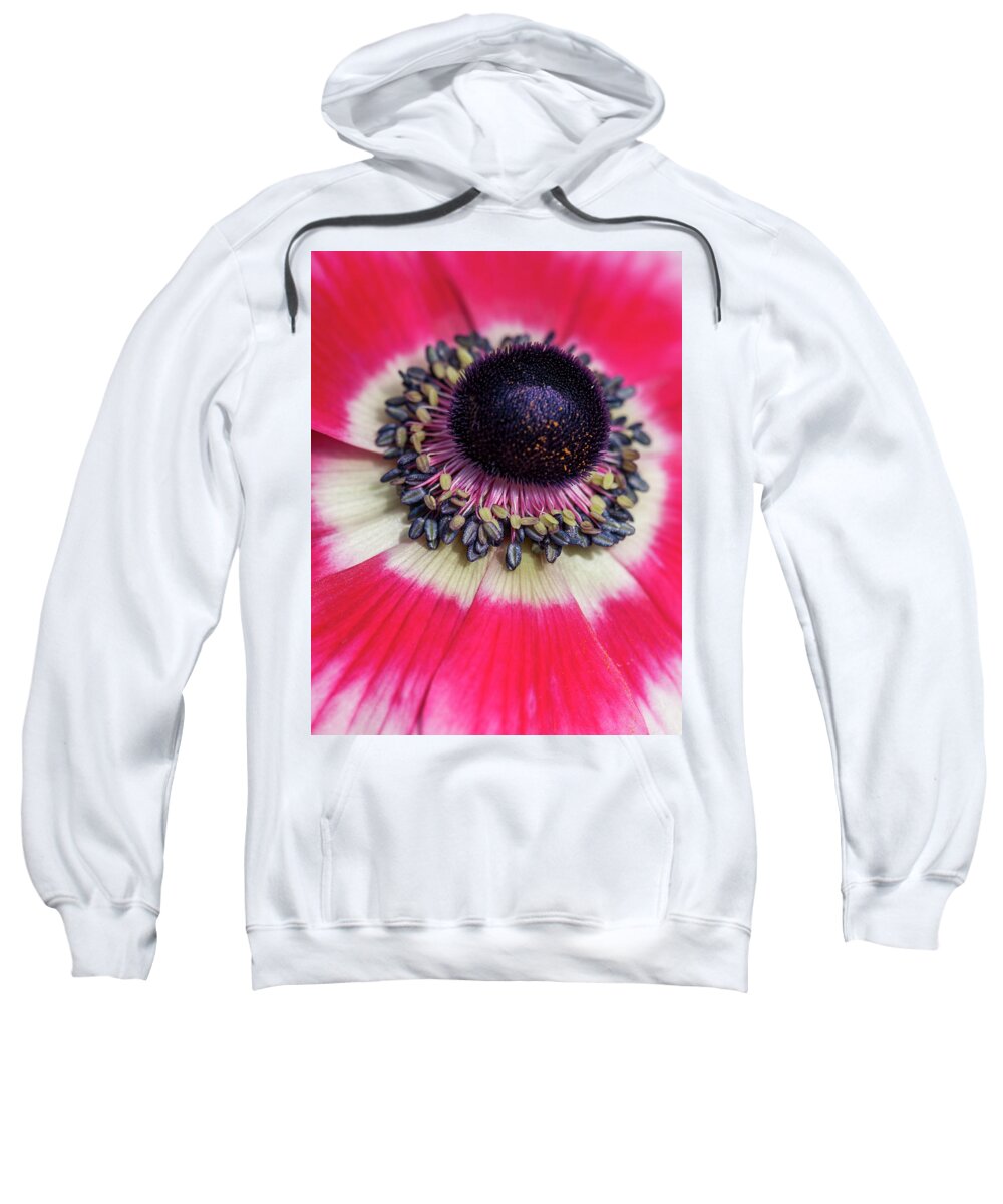 Macro Sweatshirt featuring the photograph Asian Poppy Necklace by Ginger Stein