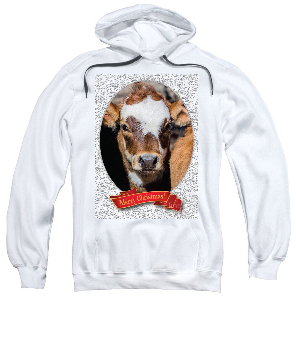 Christmas Card Sweatshirt featuring the photograph Patches Christmas by Cheryl McClure