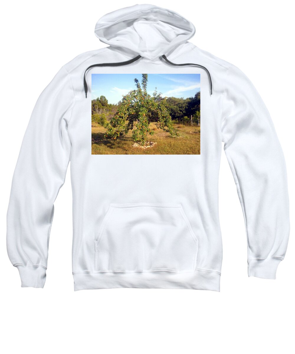Pear Sweatshirt featuring the photograph Pear Tree with Pears by Ivars Vilums