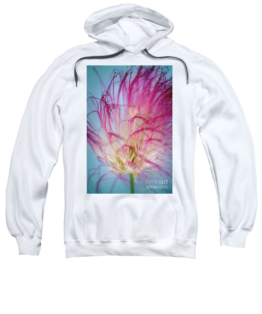 Mimosa Sweatshirt featuring the photograph Persian silk tree flower by Delphimages Photo Creations