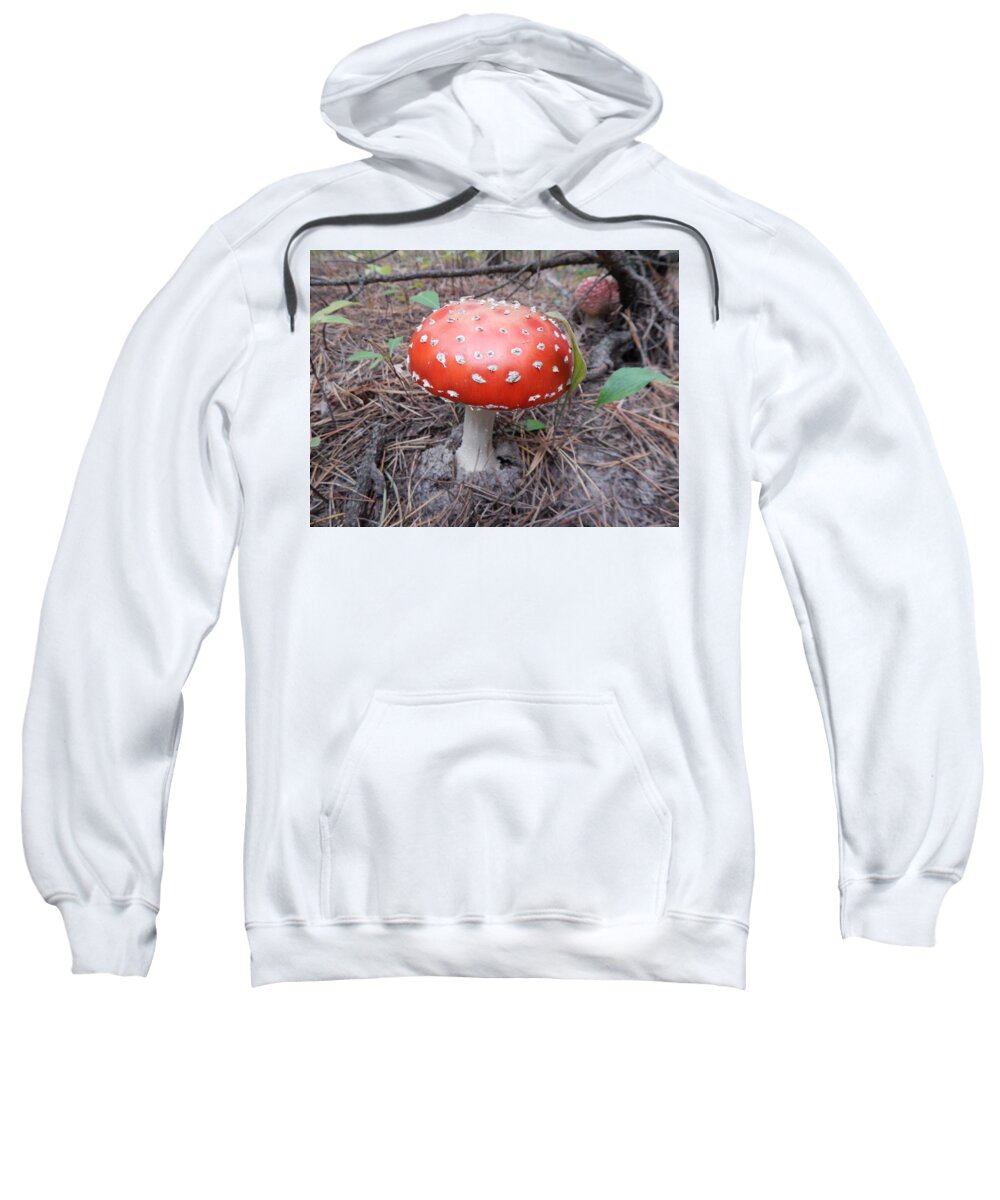 Mushrooms Sweatshirt featuring the photograph Picking mushrooms edible and not very in the woods by Oleg Prokopenko