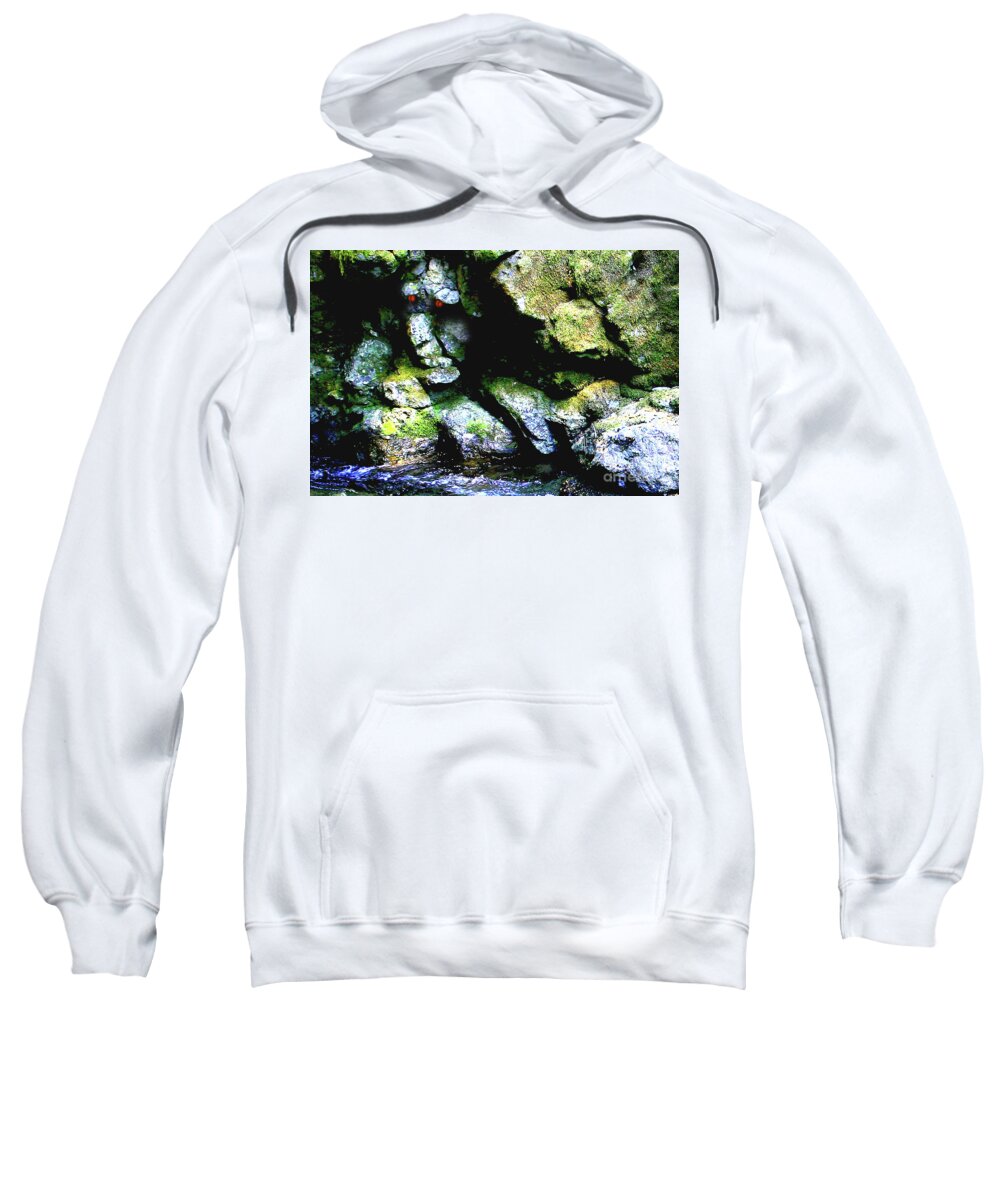 Iron Creek Sweatshirt featuring the photograph Breathing..Waiting..Rock Face by Rich Collins