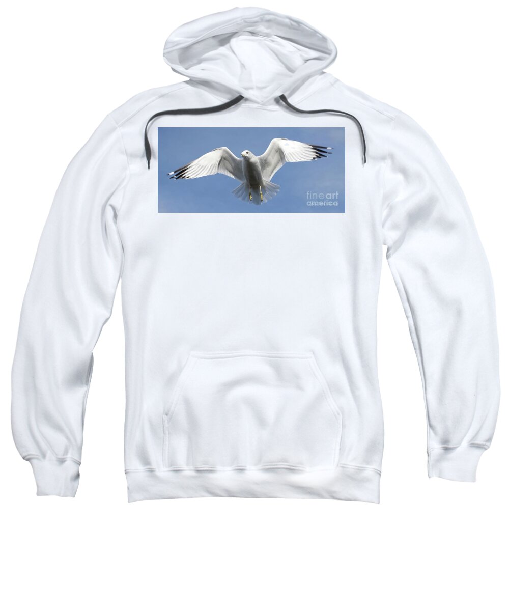 Seagull Sweatshirt featuring the photograph Seagull in Flight by Lena Wilhite
