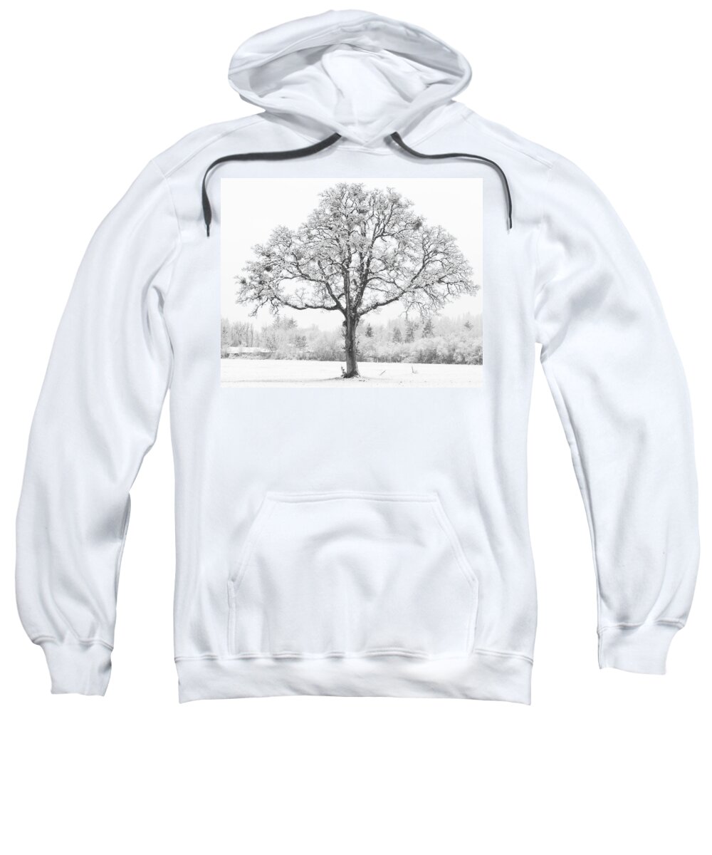 One Sweatshirt featuring the photograph Snow Tree by Catherine Avilez