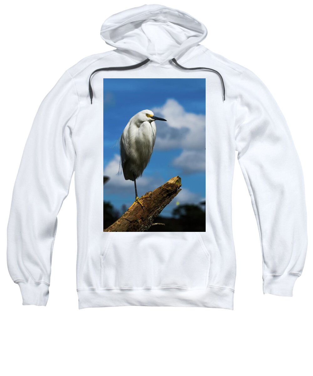 Snowy Egret Sweatshirt featuring the photograph Snowy Egret Deep Blue Sky by T Lynn Dodsworth