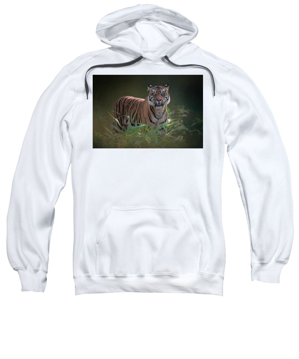 Tiger Sweatshirt featuring the photograph Tiger at the Zoo by Cindy Lark Hartman