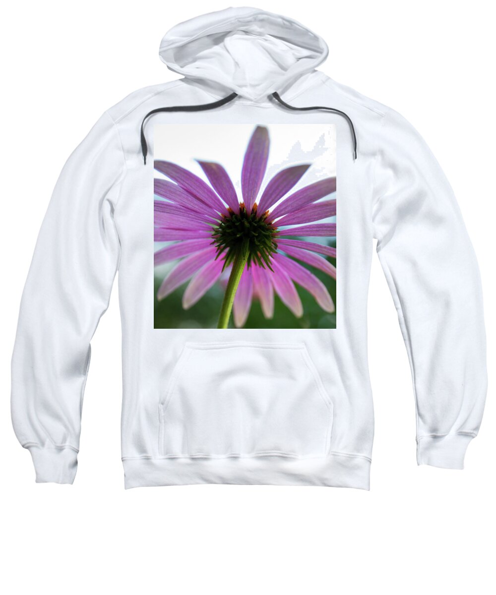 Cone Flower Sweatshirt featuring the photograph Undertow by David Pratt