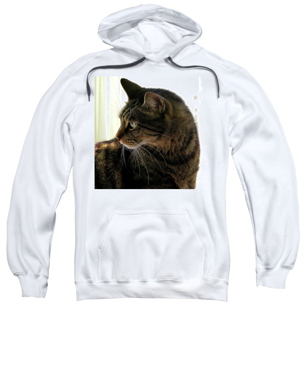 Cats Sweatshirt featuring the photograph Was That a Mouse? by Linda Stern