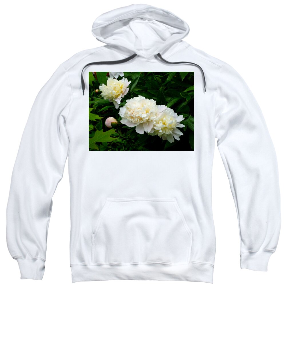 White Peonies Sweatshirt featuring the photograph White Peony Trio by Mike McBrayer
