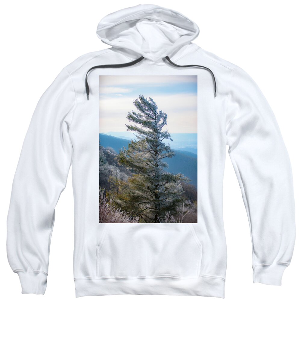 Blue Ridge Sweatshirt featuring the photograph Wind Shaped by Mark Duehmig