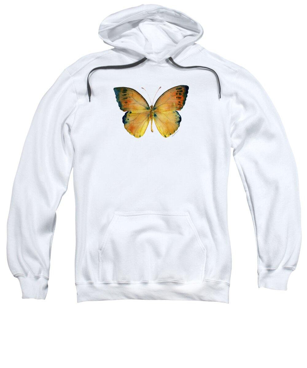 Leucippe Sweatshirt featuring the painting 53 Leucippe Detanii Butterfly by Amy Kirkpatrick
