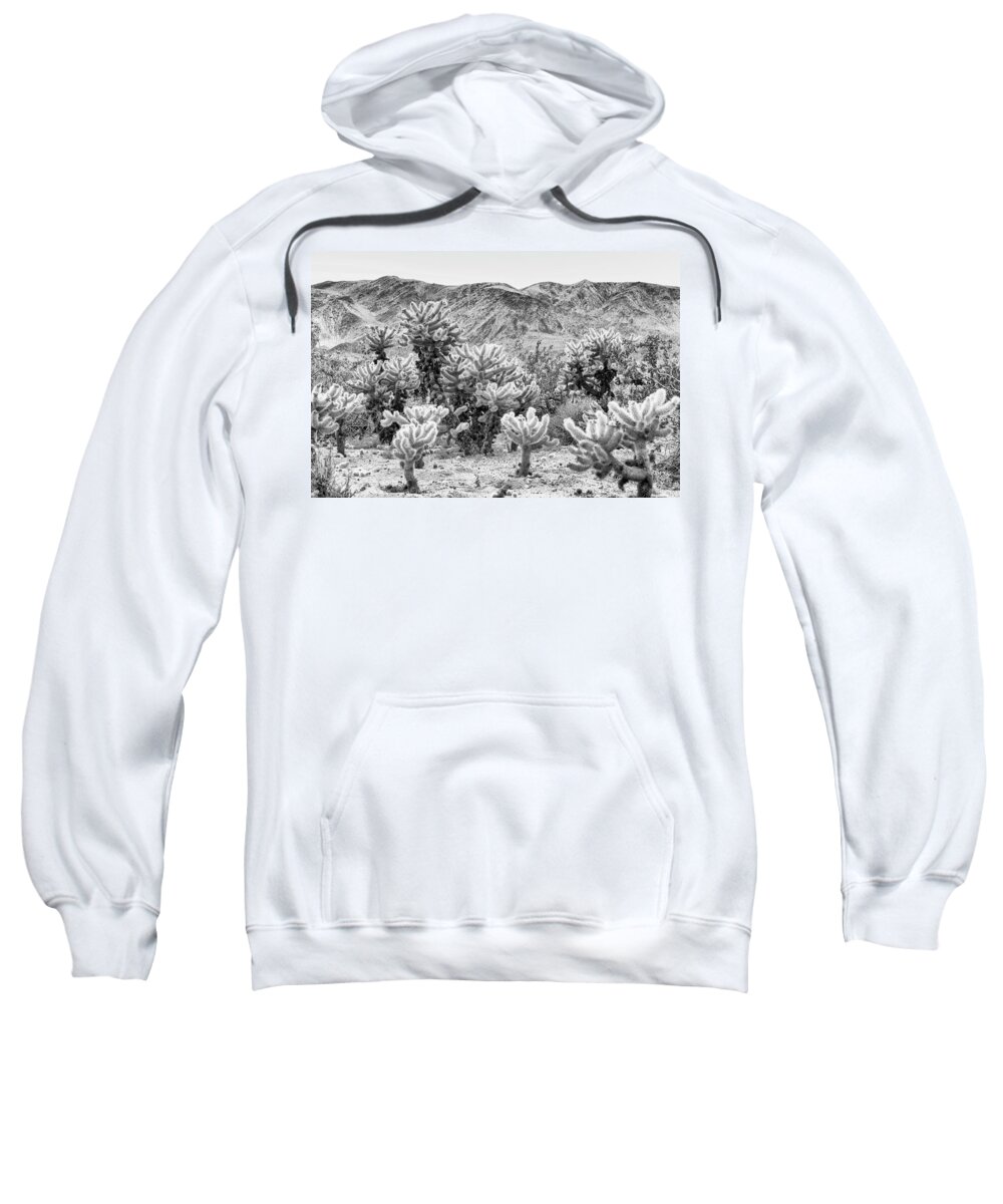Big Rock Boulders Sweatshirt featuring the photograph Super Bloom Joshua Tree 7375-300 by Amyn Nasser
