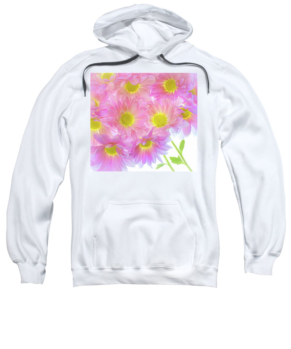 Pink Sweatshirt featuring the photograph A Bundle of Pink Mums by Sylvia Goldkranz