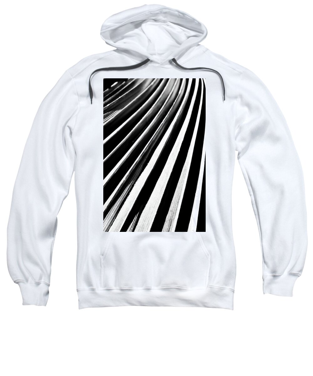 Abstract Sweatshirt featuring the photograph Abstract Diagonal. Nature Background by Michalakis Ppalis