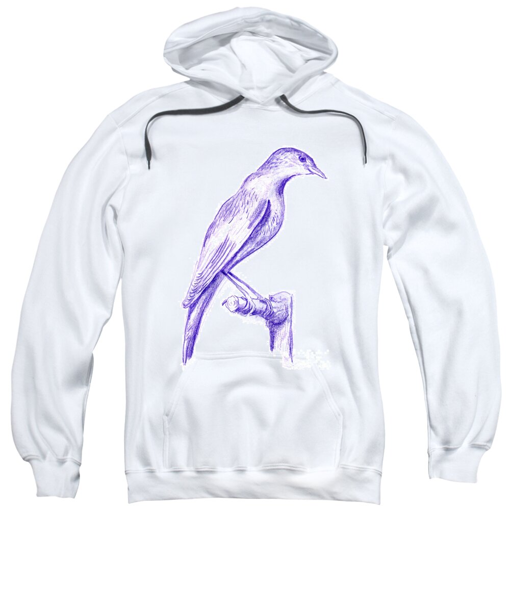 Drawing Sweatshirt featuring the drawing Acrocephalus palustris Marsh Warbler Bird Drawing by Frank Ramspott