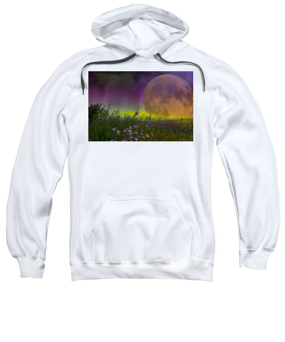 Fantasy Sweatshirt featuring the mixed media Aurora Meadow by Ally White
