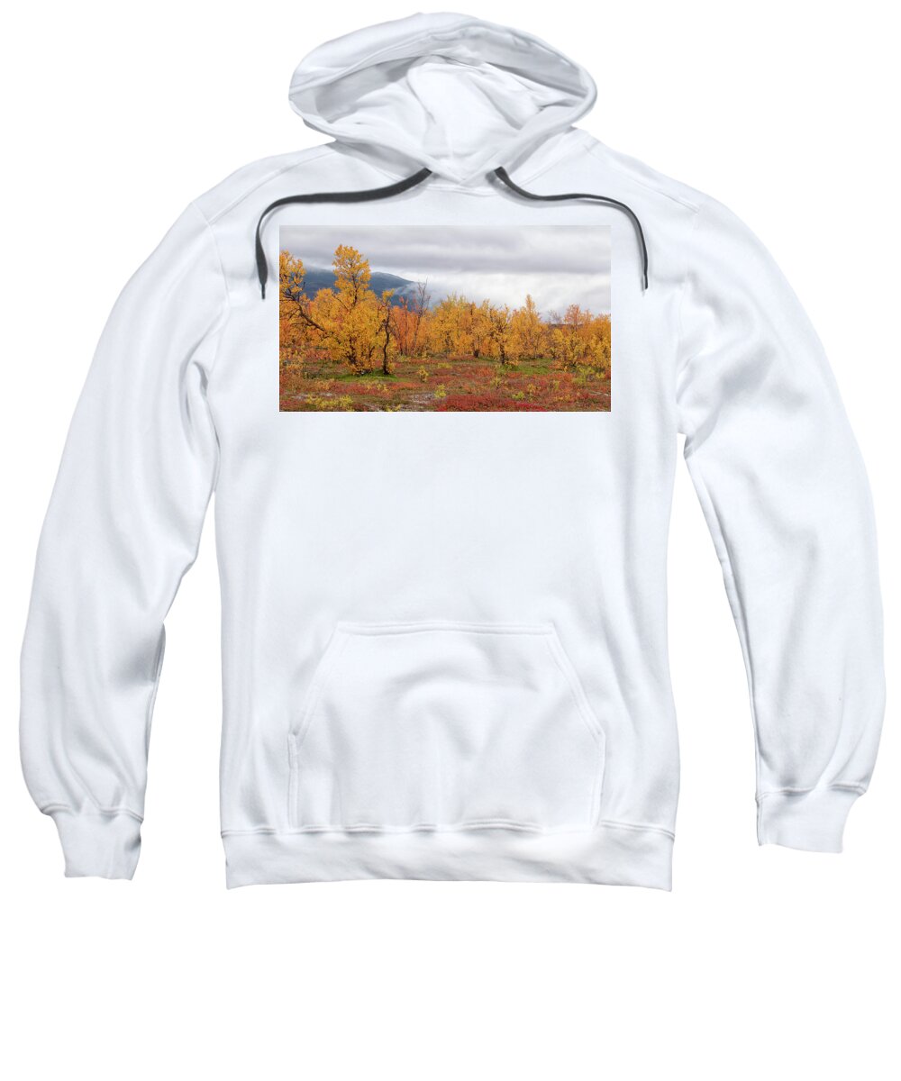 Trees Sweatshirt featuring the photograph Autumn in Lapland by Uri Baruch