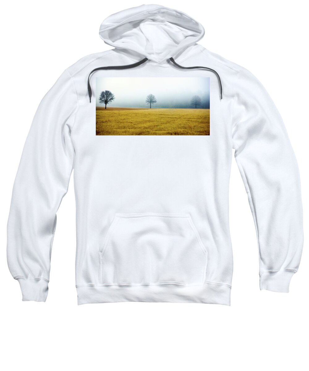Winter Sweatshirt featuring the photograph Bare Trees on Golden Grass by WAZgriffin Digital