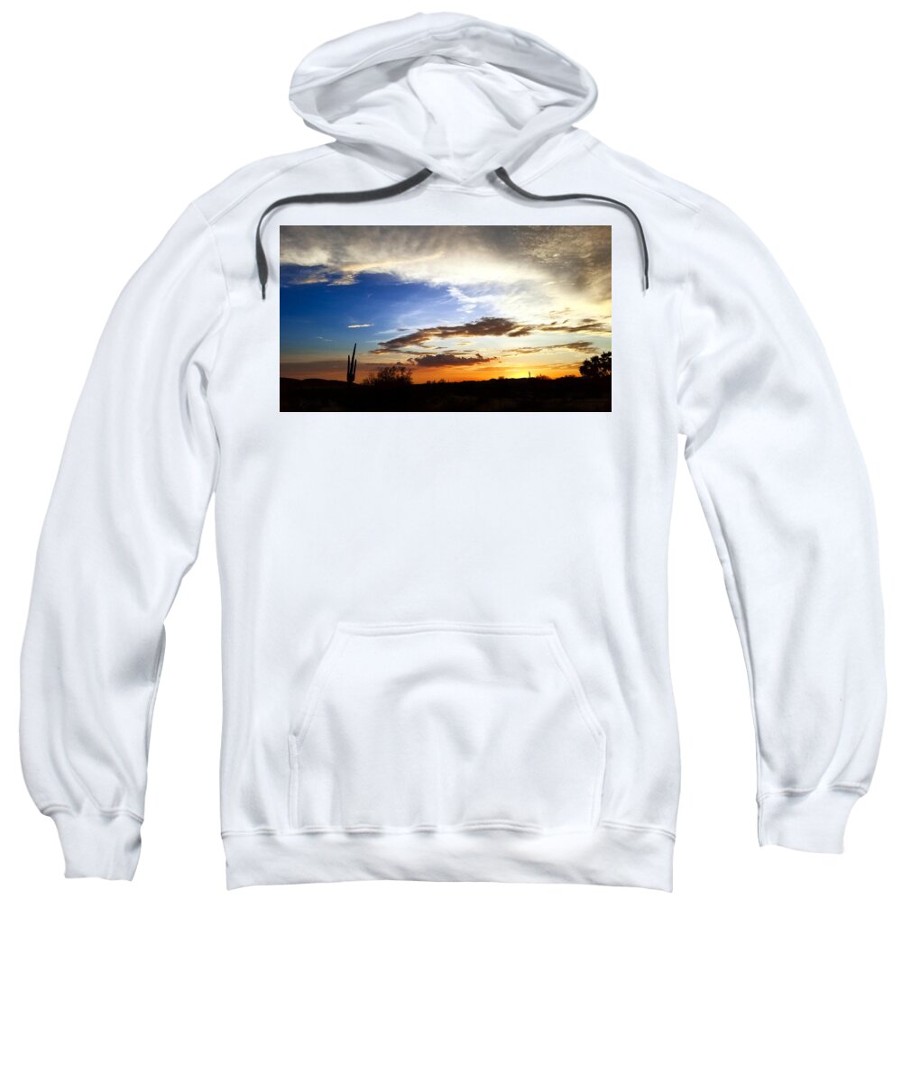 Saguaro Sweatshirt featuring the photograph Whiter Shade of Pale by Gene Taylor