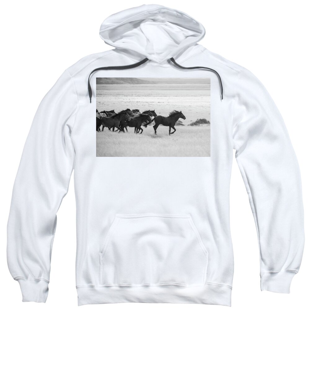  Wild Horses Sweatshirt featuring the photograph BnW Run in the Wind by Dirk Johnson