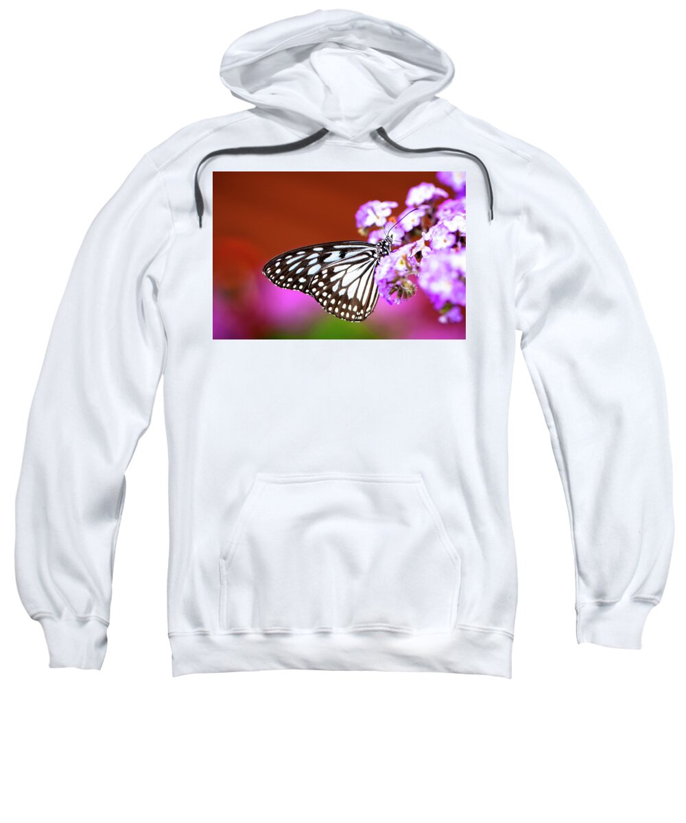 Colorful Sweatshirt featuring the photograph Butterfly and Purple Flowers by Oscar Gutierrez
