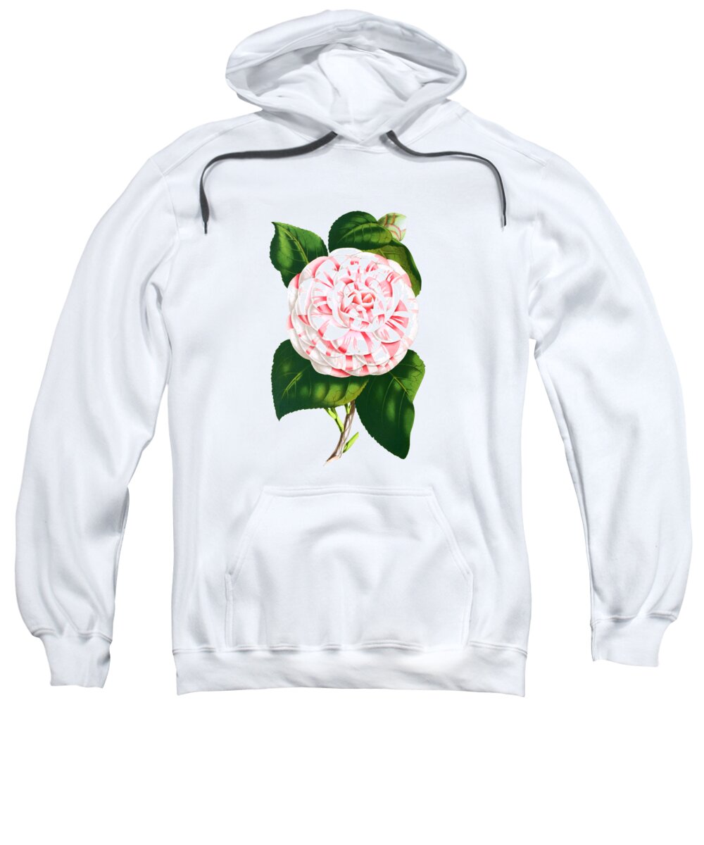 Camellia Japonica Sweatshirt featuring the digital art Camellia Flower by Madame Memento